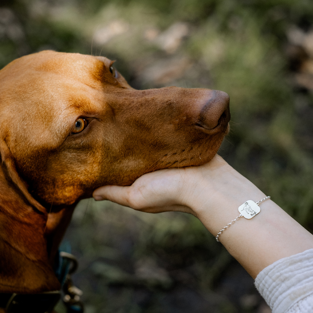 Silbernes Armband mit Namensgravur von eigenem Hund Australian Shepherd