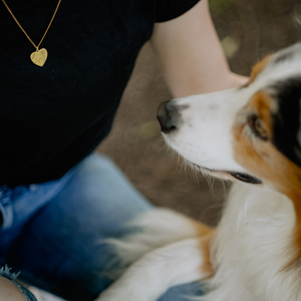 Goldener Schmuck mit Hund Labradoodle