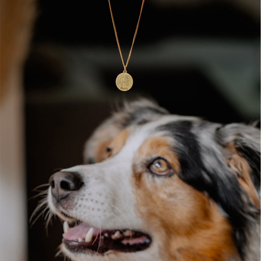 Goldener Schmuck mit Hund Labradoodle