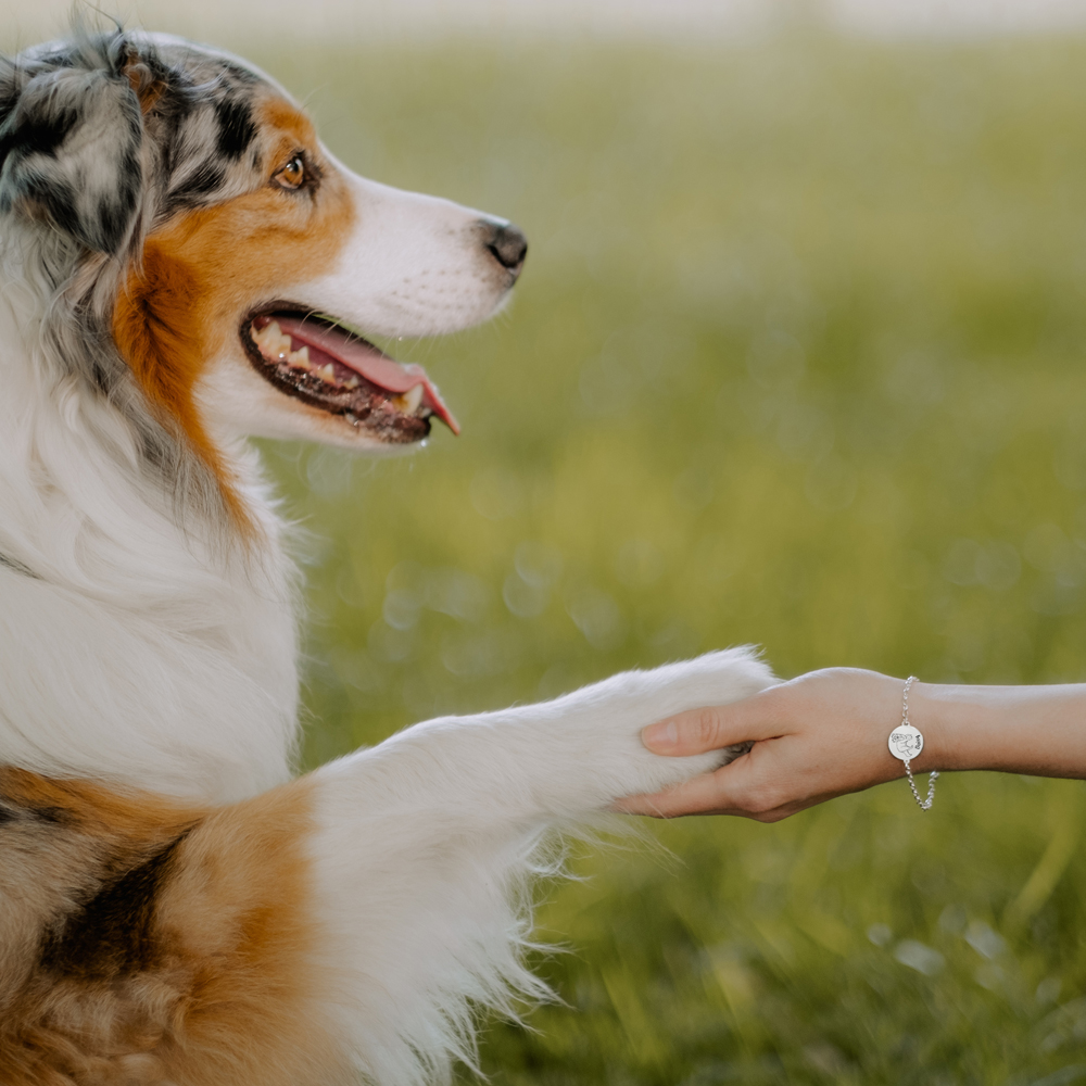 Silbernes personalisiertes Hunde Armband Boxer