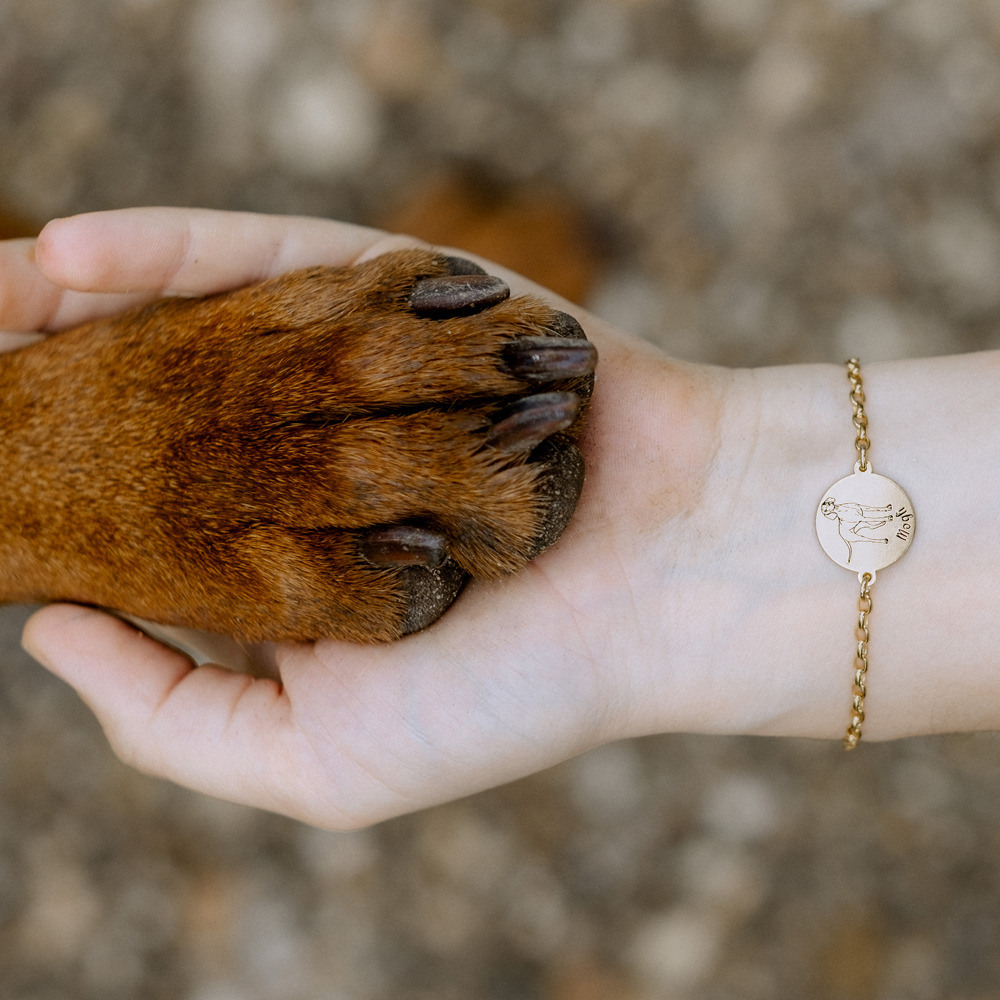 Goldenes Armband mit Hundeporträt Staffordshire Bull Terrier