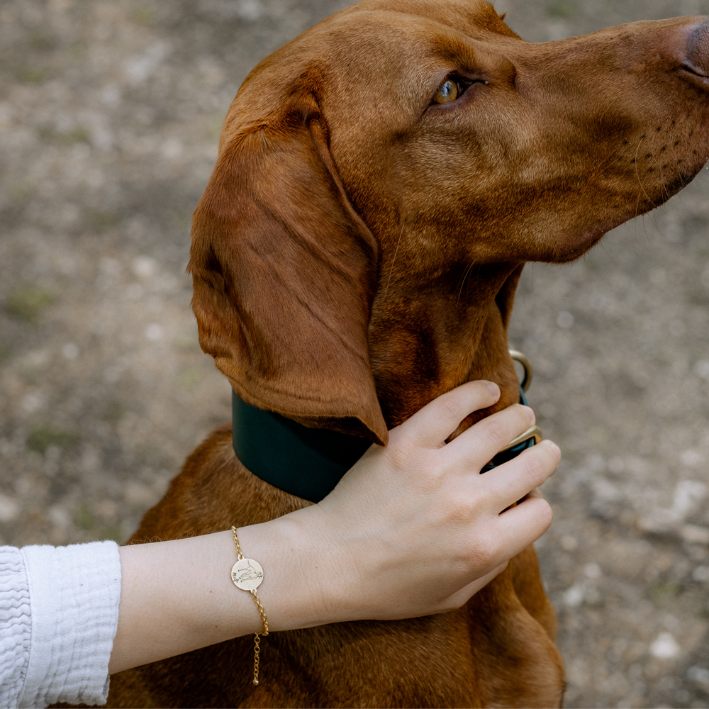 Goldenes personalisiertes Hunde Armband Boxer