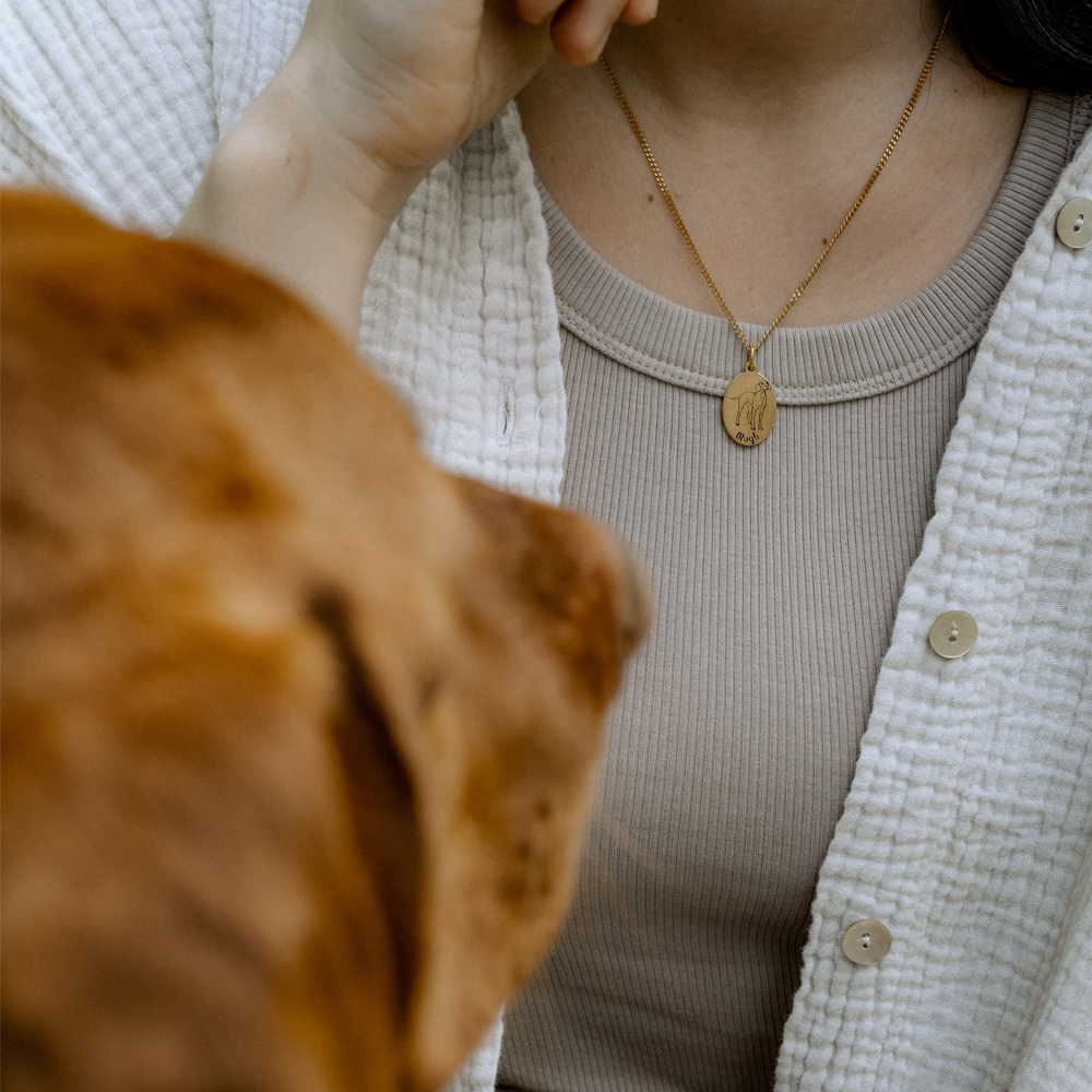 Goldener Anhänger mit Hundegravur Akita