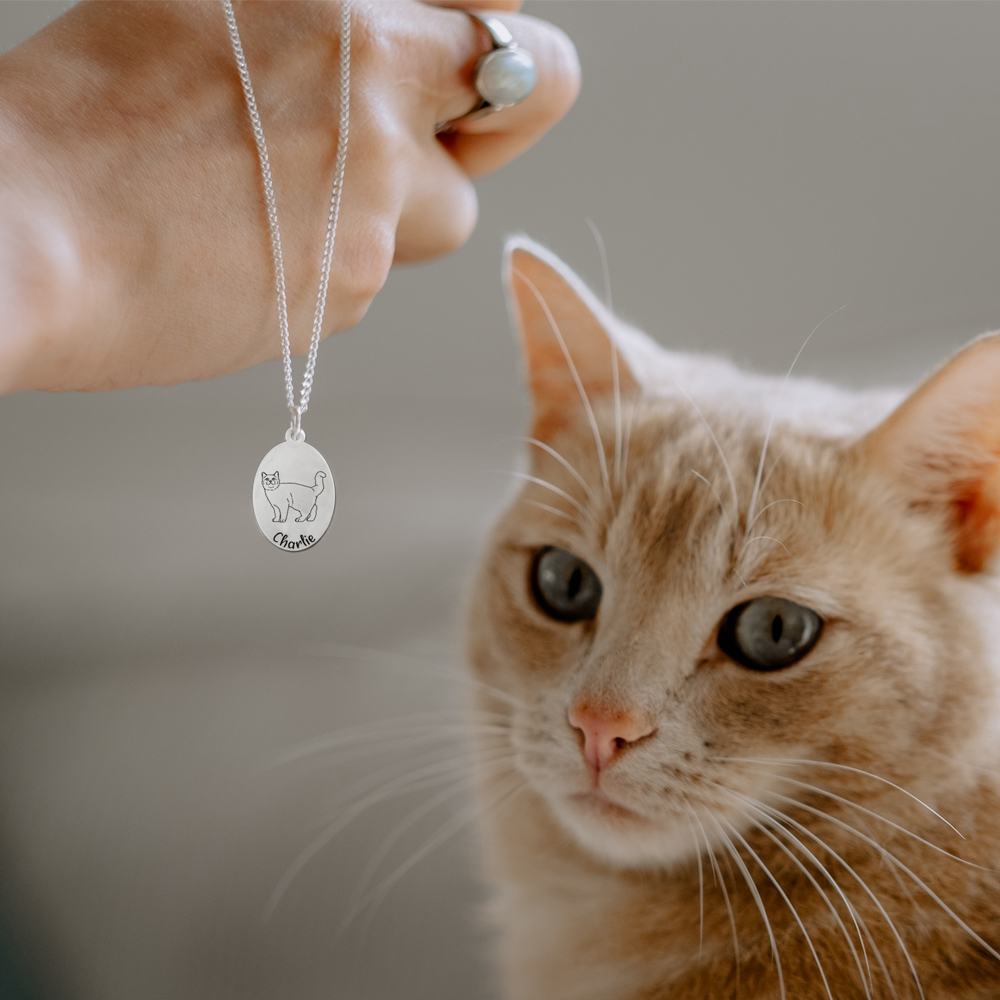 Silberner Anhänger mit Katzen Porträt Europäische Kurzhaarkatze