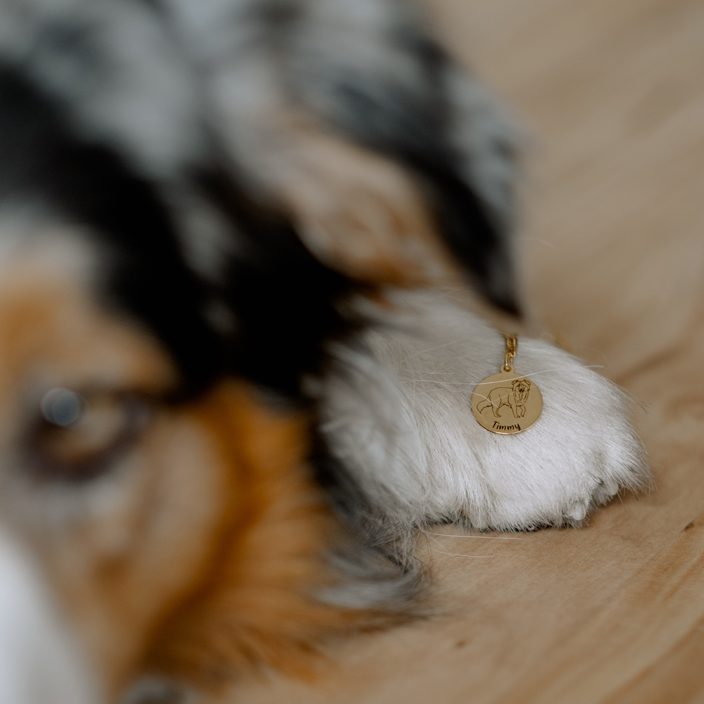 Goldene Kette mit Namensgravur von eigenem Hund Australian Shepherd