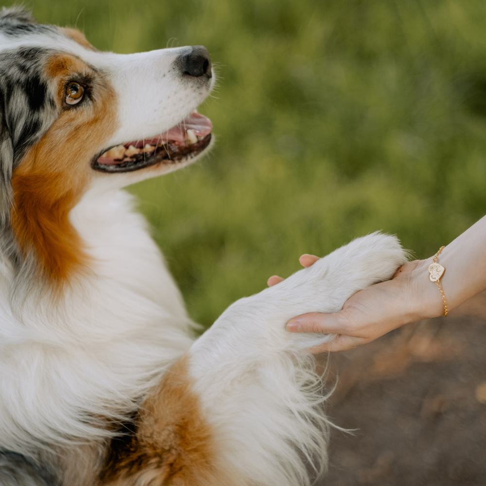 Goldenes Porträt Armband Corgi