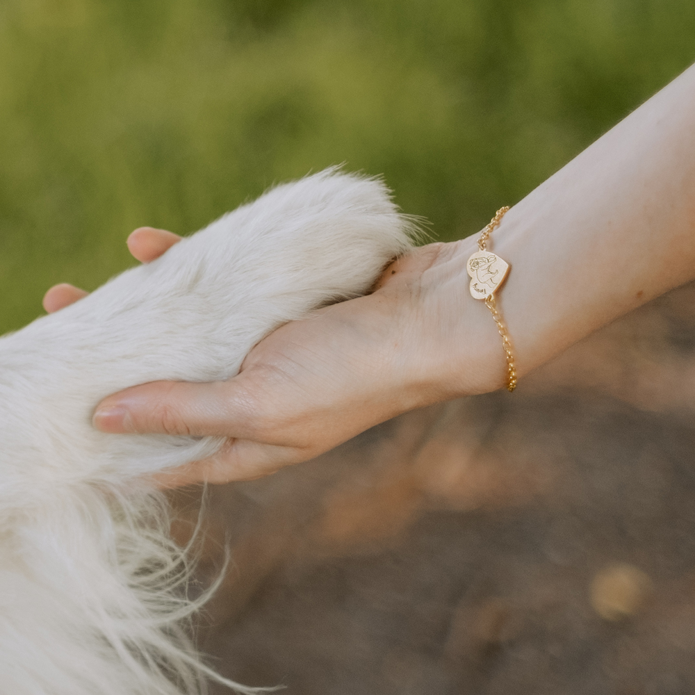 Goldenes Namensamband mit Hund Golden Retriever