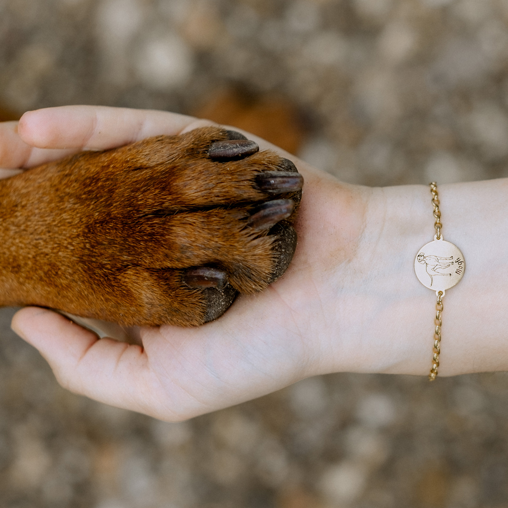 Goldenes Hundearmband Mastiff