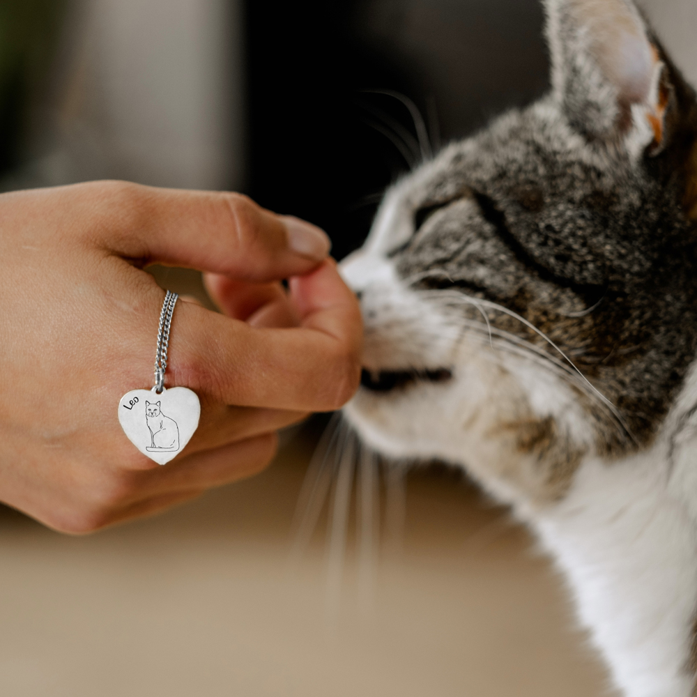 Silberne Kette mit Katze Sibirische Katze