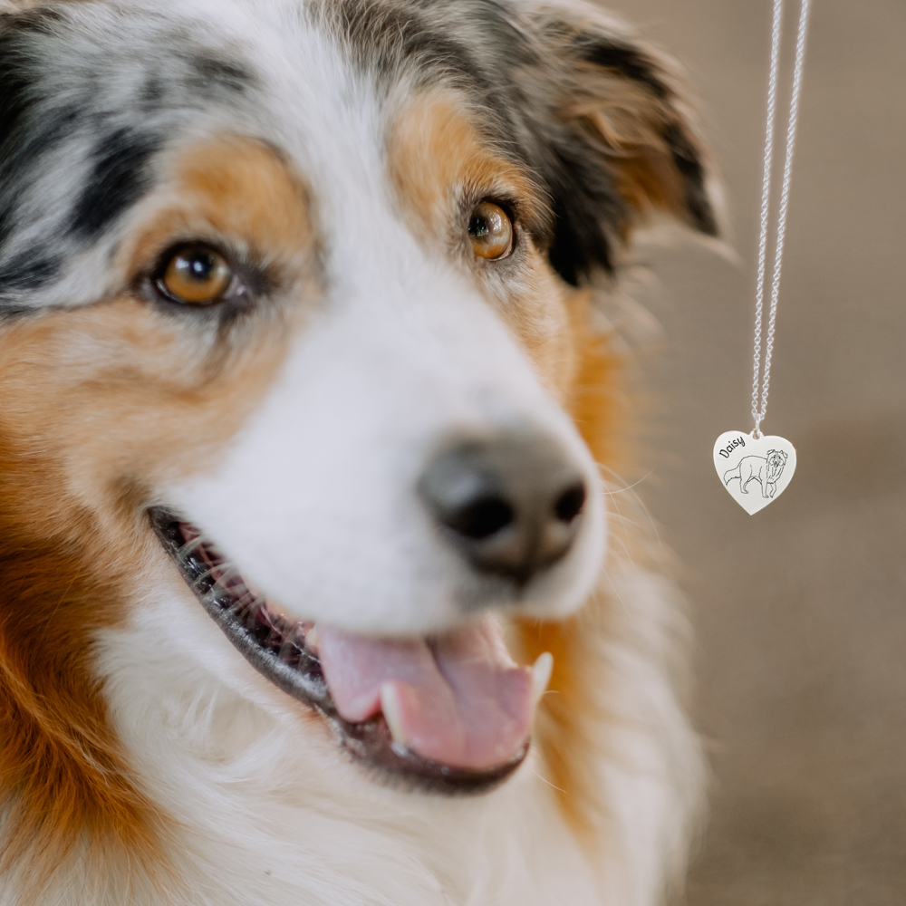 Silberner Anhänger mit Hundegravur Akita