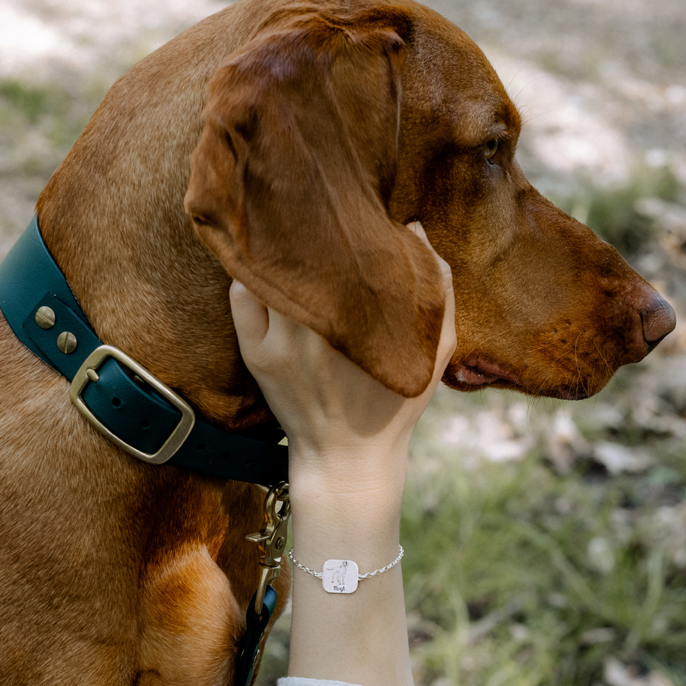 Personalisiertes Armband mit Hund Dachshund