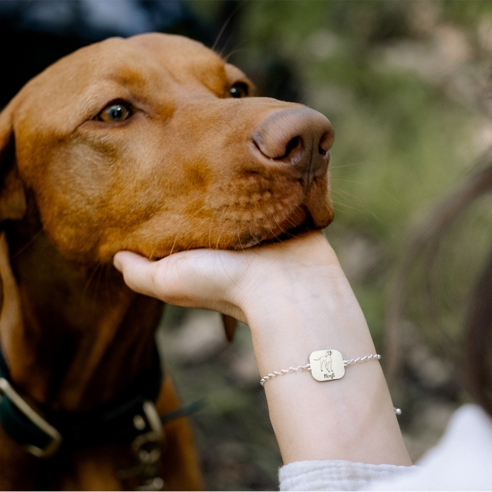 Silbernes Labrador Armband mit Gravur