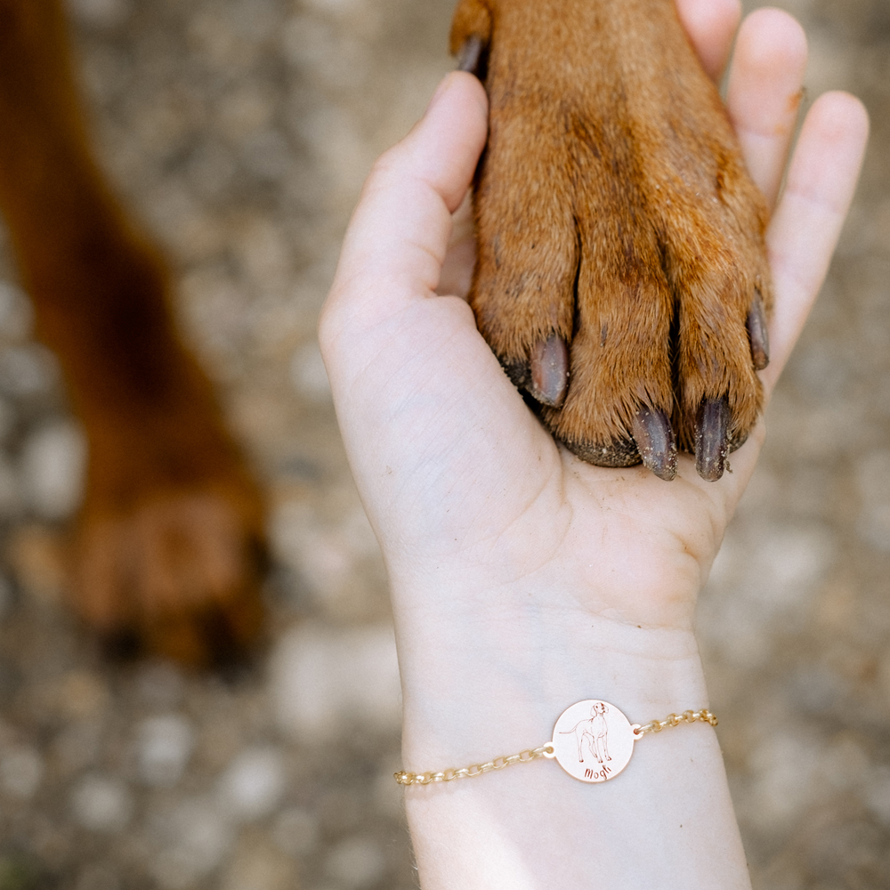 Goldenes Armband mit Hund Bull Terrier